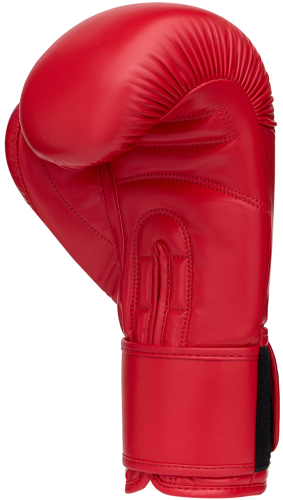 Перчатки боксерские INSANE RBF ФБР фото 3