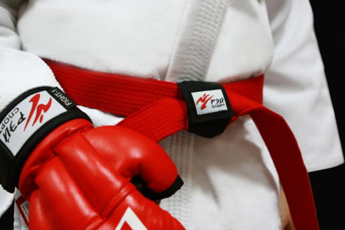 Фиксатор для пояса Рэй-Спорт фото 2