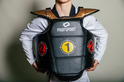 Защита торса для тренировок PROFSPORT фото 2 Защита торса для тренировок PROFSPORT фото 2