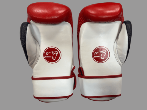 Лапы-перчатки Coach Spar Kiboshu фото 2